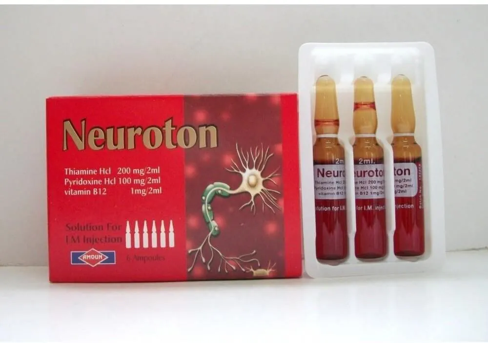 NEUROTON 6AMP