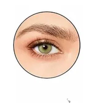 Desio | Attitude ONE DAY WILD GREEN