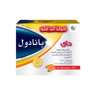 PANADOL COLD AND FLU DAY TAB